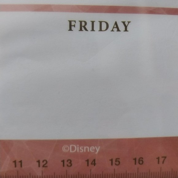 NWT Disney Minnie Mouse Weekly Planner - Picture 3 of 3